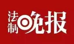 最新生活时事爆料新闻,突发！最新民生焦点事件引发社会热议